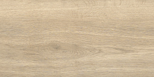 GFA3060BWD24R плитка керамогранитная Брентвуд / Brentwood 300*600 (9 шт в уп/64.8 м в пал)