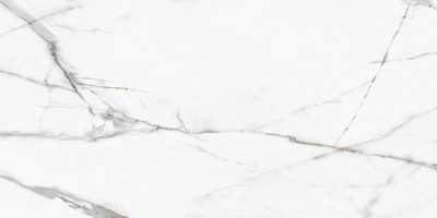 60120REG00P 60120REG00P