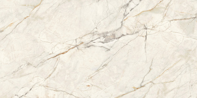 60120WOF01P 60120WOF01P