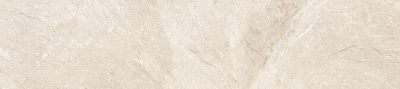 GP2090SNN11L