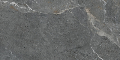 GP60120TIA25M GP60120TIA25M